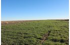 TRACT 4 - REAL ESTATE & MINERAL AUCTION - 640+/- ACRES & PRODUCING MINERALS OFFERED IN 8 TRACTS IN MORTON COUNTY, KANSAS